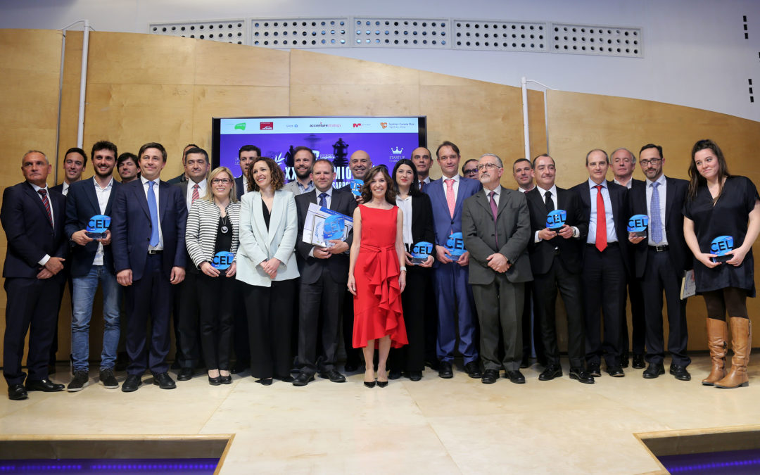 #PREMIOSCEL 2019. GANADORES DE LA EDICIÓN 29 AL DESARROLLO DE LA GESTIÓN LOGÍSTICA